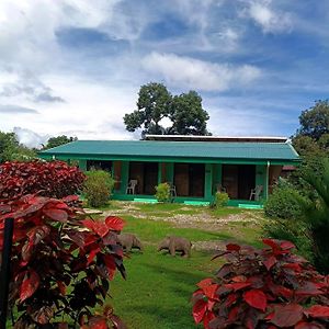 Macaw Hotel Puerto Jimenez Exterior photo