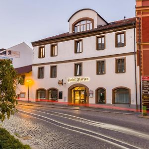 Hotel Florian Sedlcany Exterior photo