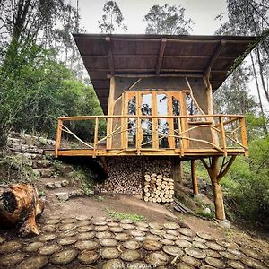 Cabana Del Bosque, Quito - Ilalo Villa Exterior photo