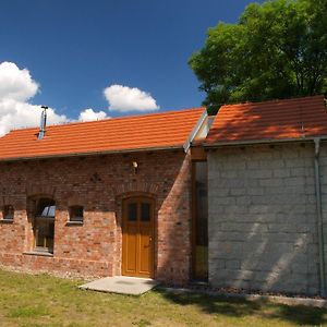 Lake House Koscian Exterior photo