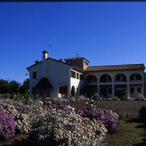 Agriturismo Due Torri Bed & Breakfast Montebelluna Exterior photo