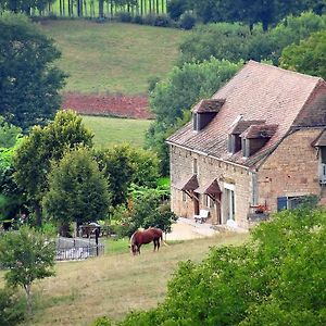 Le Domaine Du Cerneau Bed & Breakfast Nailhac Exterior photo