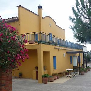 Can Selleretas Bed & Breakfast Vilamacolum Exterior photo