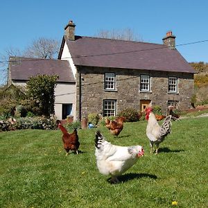 Nantgwynfaen Organic Farm Wales Villa Llandysul Exterior photo