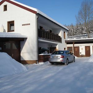 Haus Steinwaldblick Apartment Bernlohe  Exterior photo