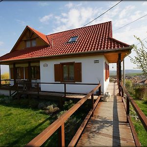 Kalaris Vendeghaz Apartment Holloko Exterior photo