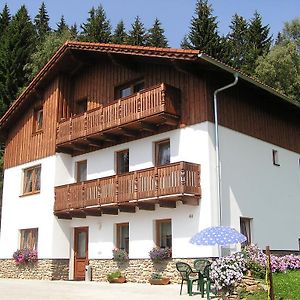 Pension Pek Kubova Hut Exterior photo