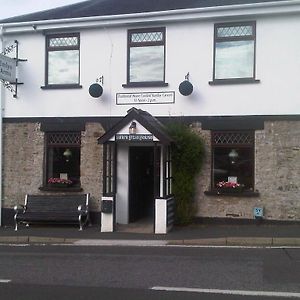 Emlyn Arms Bed & Breakfast Llanarthney Exterior photo