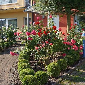 Ferienhaus Schloss-Garten Apartment Kapellen-Drusweiler Exterior photo