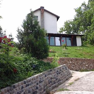 Casa Piscul Lupului Villa Pucioasa Exterior photo