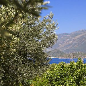 Kaktus Cakil Villa Kaş Exterior photo