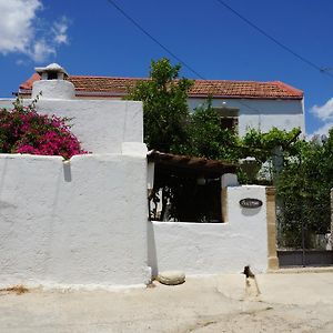 Patriko Country House Villa Vori Exterior photo