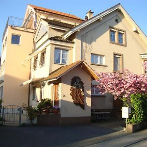 Niros Bed & Breakfast Bed & Breakfast Basel Exterior photo