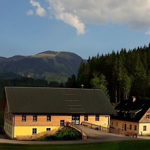 Ferienstadl - Hammerau Goestling an der Ybbs Exterior photo