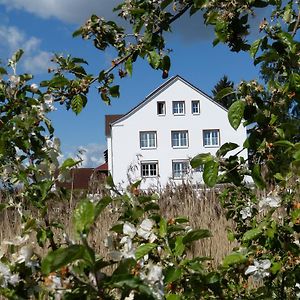 Das Haus Am Teich Hotel Gross Grabow Exterior photo