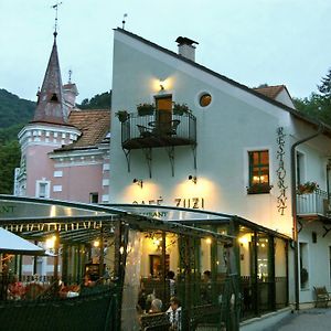 Penzion Zuzi Hotel Trencianske Teplice Exterior photo