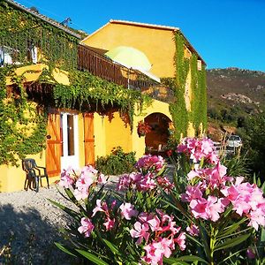 A Pianella Hotel Castirla Exterior photo