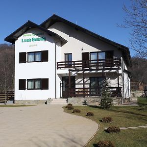 Pensiunea Livada Bunicului Hotel Stanesti  Exterior photo