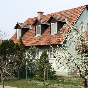 Gyula-Tanya Vendeghaz Villa Csongrad Exterior photo