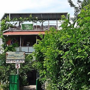 Nato & Lado Hotel Sighnaghi Exterior photo