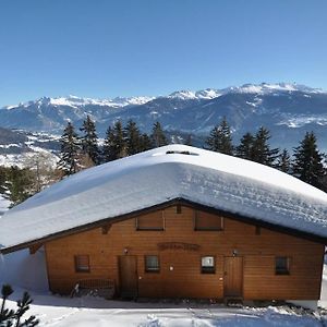 Chalet Brune-Haute Villa Anzere Exterior photo