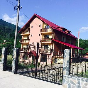 Pensiunea Cheile Argesului Hotel Capatineni-Paminteni Exterior photo