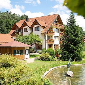 Landhaus Muehlengrund Apartment Baiersbronn Exterior photo