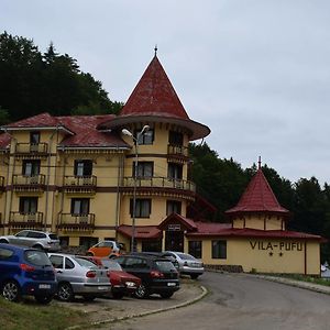Vila Pufu Hotel Slanic Moldova Exterior photo
