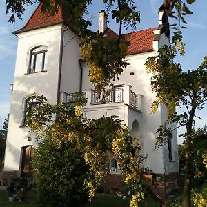 Villa Liduska S Kavarnou Bechyne Exterior photo