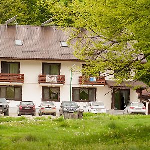 Cabana Barlogul Lupilor Villa Berevoesti Exterior photo