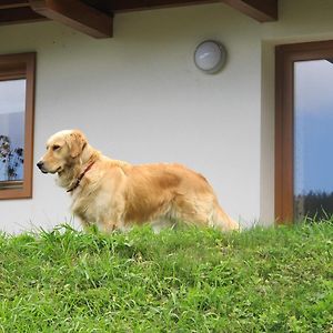 Il Cardo Trentino Apartment Bedollo Exterior photo