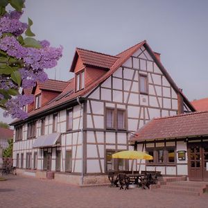 Pension Ujut Hotel Bad Langensalza Exterior photo