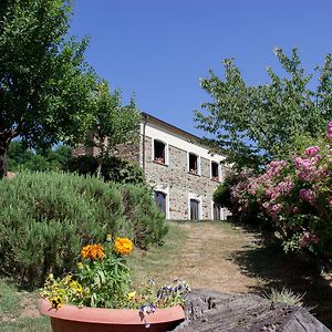 La Rosa Nel Bicchiere Guest House Soveria Mannelli Exterior photo