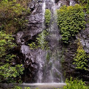 Nimbin Waterfall Retreat Villa Exterior photo