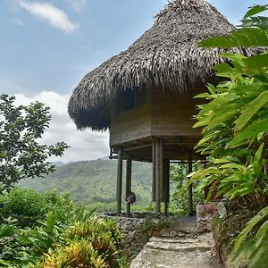 Ecohabs Bosques Del Tayrona Hotel Calabazo  Exterior photo