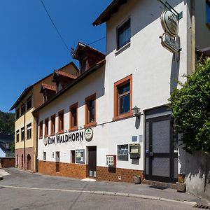 Zum Waldhorn Hotel Peterstal Exterior photo