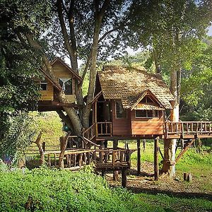 Rabeang Pasak Treehouse Resort Chiang Mai Exterior photo