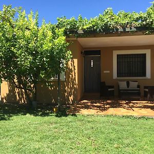 Las Olivas Guest House Candeleda Exterior photo