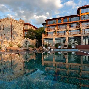 Chateau Mere Hotel Telavi Exterior photo