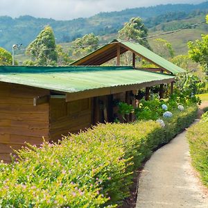 Ecolodge Rain Pedregoso Exterior photo