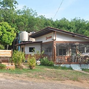 Najjamee Bungalow Hotel Phuket Exterior photo