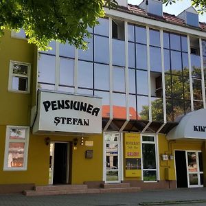 Pensiunea Stefan Hotel Bistrita  Exterior photo