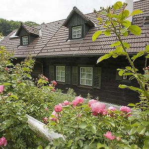 Das Altsteirische Landhaus - La Maison De Pronegg - Feriendomizil Im Biosphaerenpark Wienerwald Apartment Pressbaum Room photo