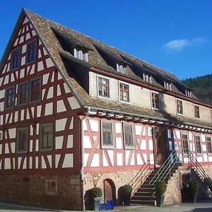 Roter Loewe Bed & Breakfast Heiligkreuzsteinach Exterior photo