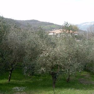 Agriturismo Le Cammarose Villa Felitto Exterior photo