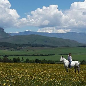 Dragons Landing Guest Farm Apartment Underberg Exterior photo