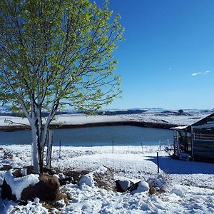 The Tin Shack Apartment Underberg Exterior photo