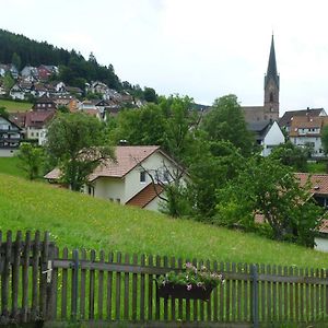 Naehe Nationalpark Apartment Baiersbronn Exterior photo