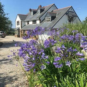 Brookfields Bed & Breakfast Wadebridge Exterior photo