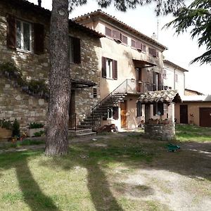 Il Rifugio Del Leone Apartment Perugia Exterior photo